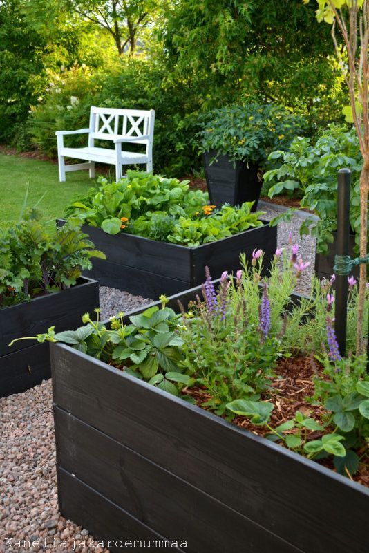 Elevated Gardening: A Guide to Raised Planter Vegetable Gardens