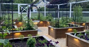 raised bed garden