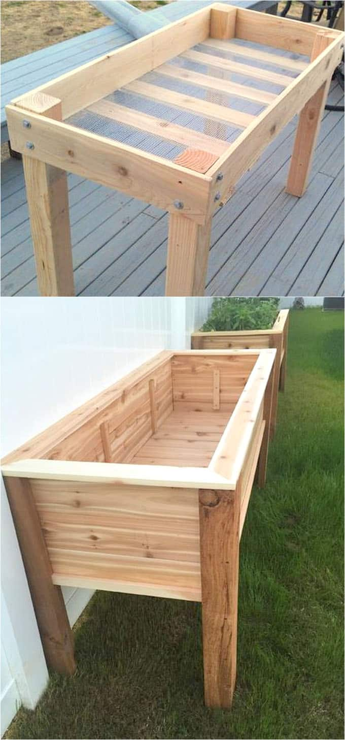 Elevated Gardening: A Step-by-Step Guide to Building Your Own Raised Garden Beds