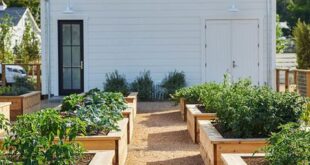 raised bed garden