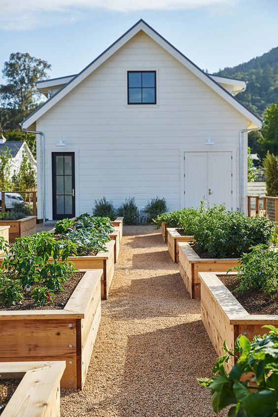 Growing a Lush Vegetable Garden: Tips for Beautiful Garden Design