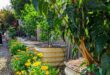 raised bed gardens