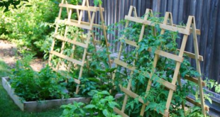 pallet raised garden bed