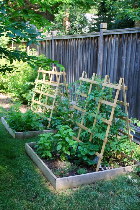 Elevated Pallet Garden: A Sustainable Solution for Growing Your Own Produce