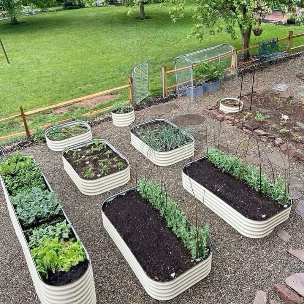 raised planter vegetable garden