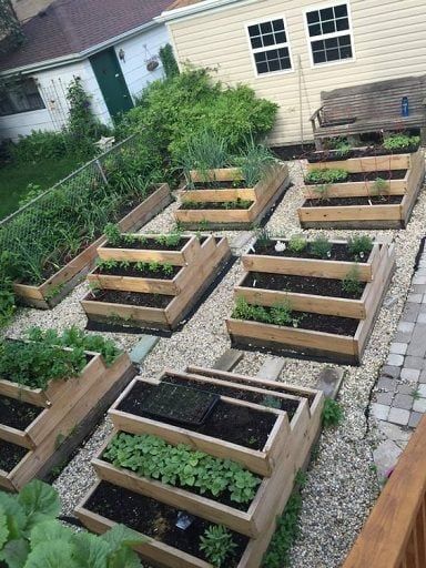 Elevated Planter Boxes: The Ultimate Solution for Growing Your Own Vegetables