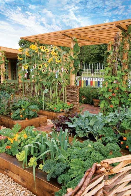 Elevated Planter Vegetable Gardens: A Sustainable Solution for Urban Farming