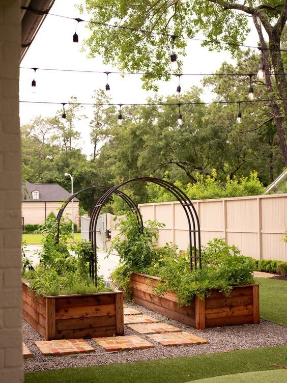 Elevated Planters: A Better Way to Grow Your Own Vegetables