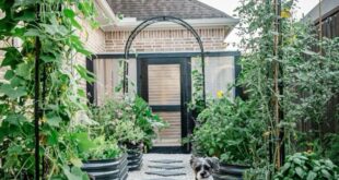 raised bed gardens