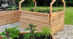 raised planter vegetable garden