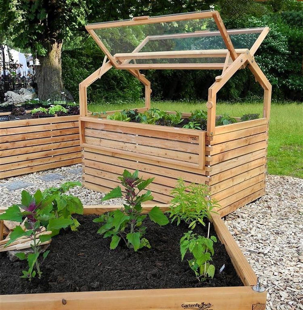 Elevated Vegetable Garden: A Creative Twist on Planters for Your Veggies