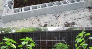 raised planter vegetable garden