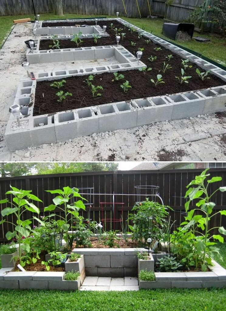 raised planter vegetable garden