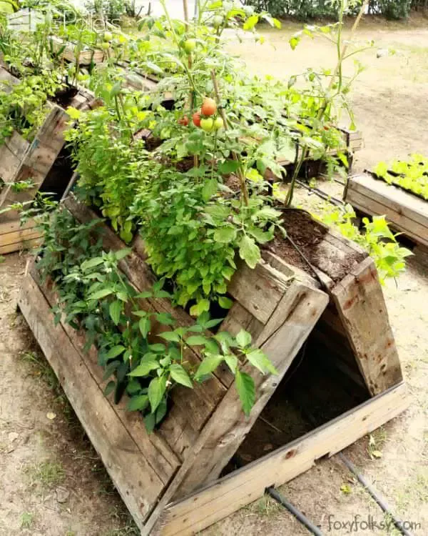 Elevating Your Gardening Game: The Advantages of Using Pallets for Raised Garden Beds