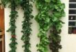 vertical gardening