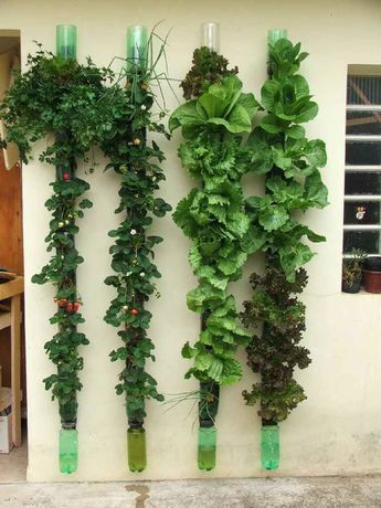 vertical gardening