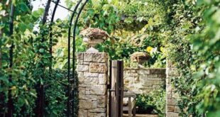 metal garden arches