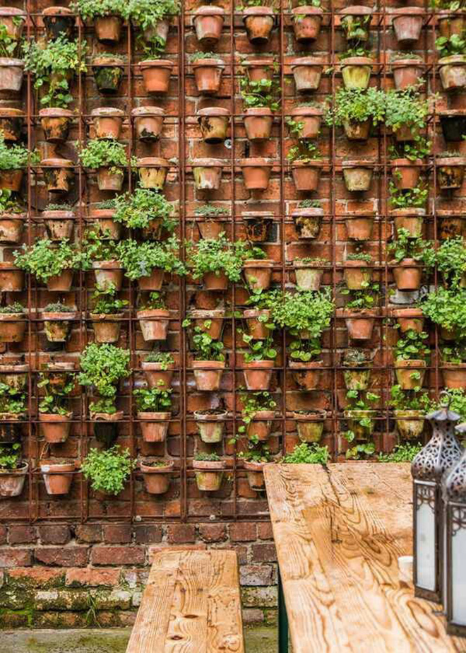 Embracing Height: The Benefits of Vertical Gardening