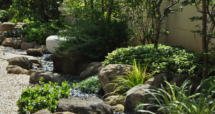 small japanese zen garden