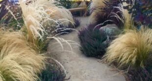 landscaping with ornamental grasses