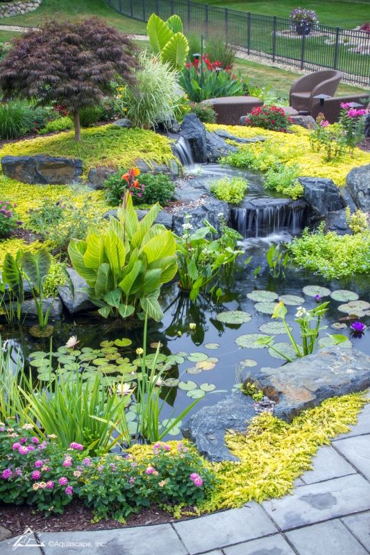 Embracing the Serenity of Water Gardens