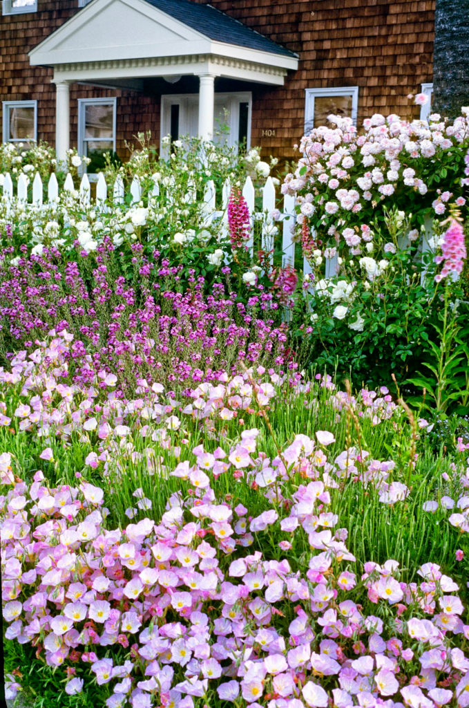 front yard cottage garden ideas