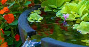 small garden waterfalls