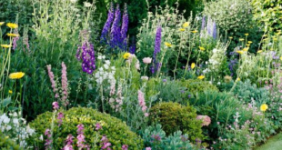 cottage landscaping