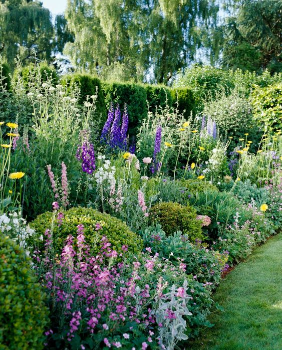 Enchanting Ways to Enhance Your Cottage Garden