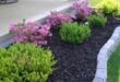 landscaping ideas for front yard