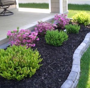 Enhance Your Curb Appeal: Inspiring Front Yard Landscaping Ideas