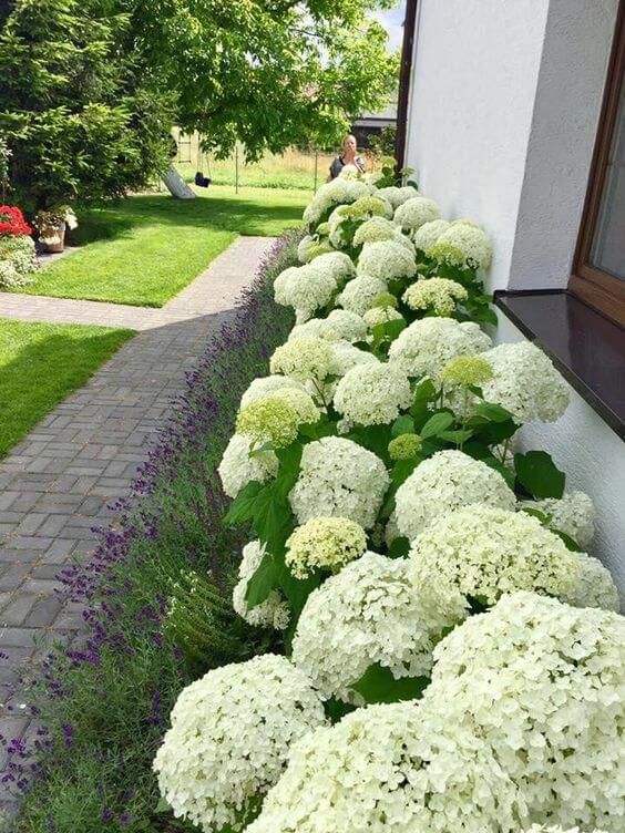 Enhance Your Curb Appeal with Beautiful Front Yard Landscaping Ideas