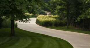 landscaping driveway