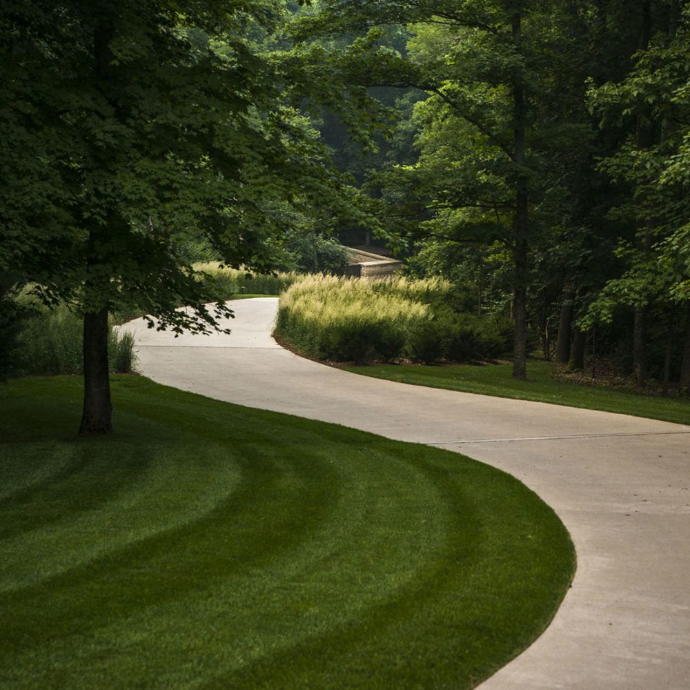 Enhance Your Curb Appeal with a Beautifully Landscaped Driveway