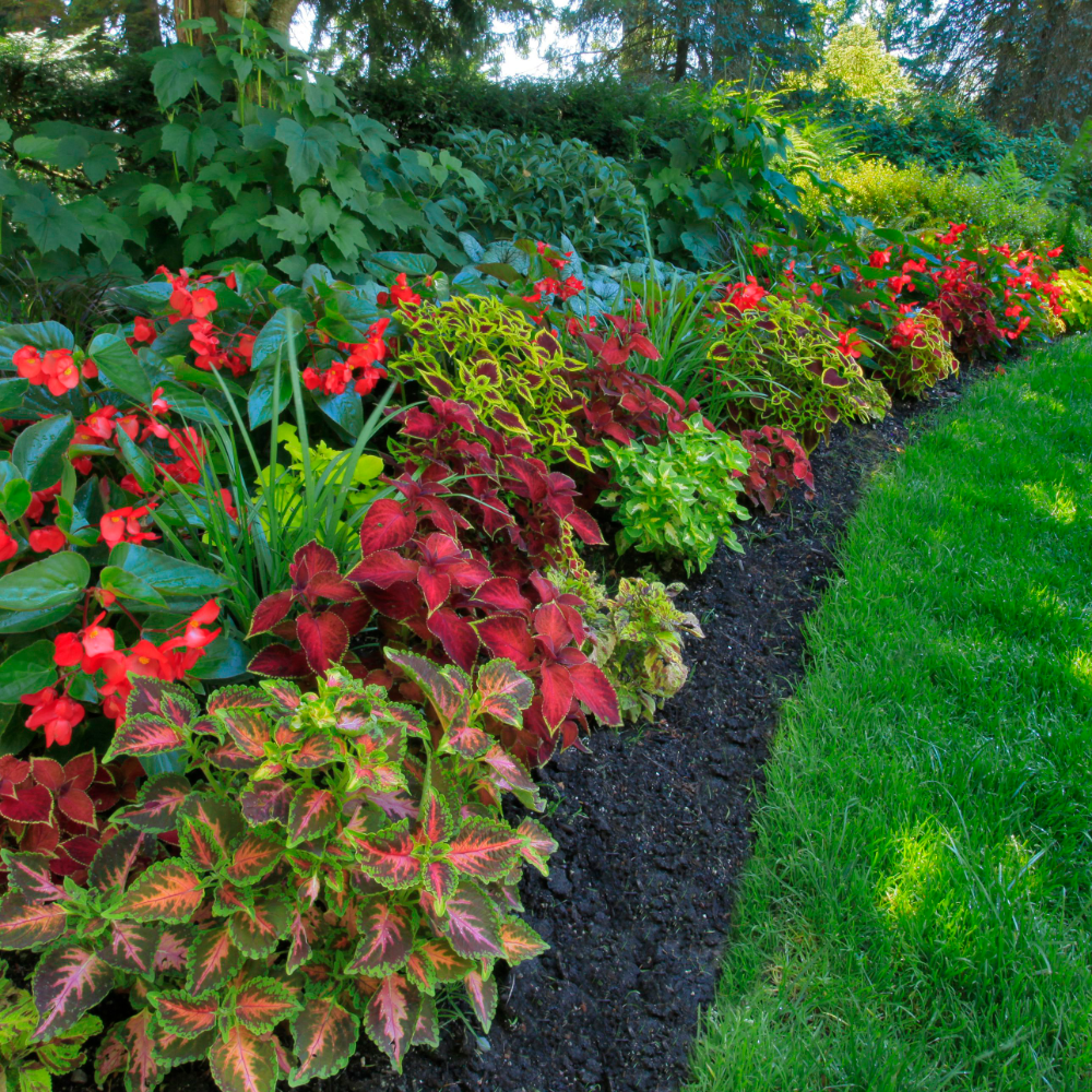 Enhance Your Front Yard with These Stunning Landscaping Ideas