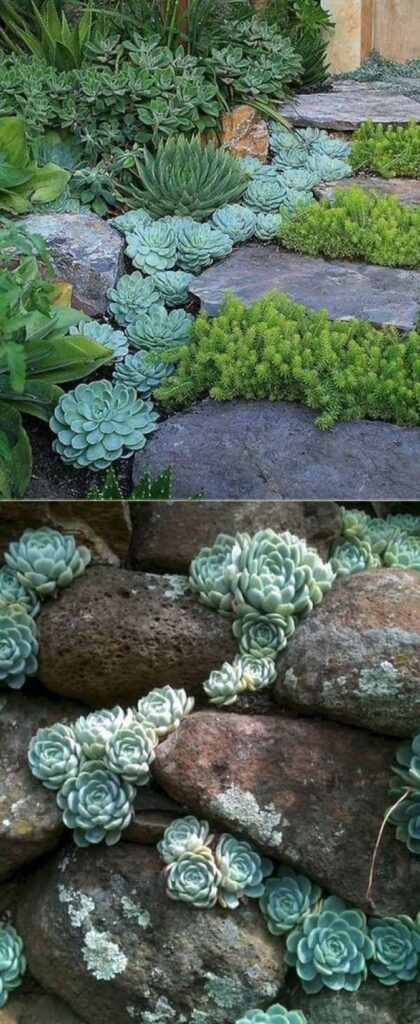 garden ideas with stones