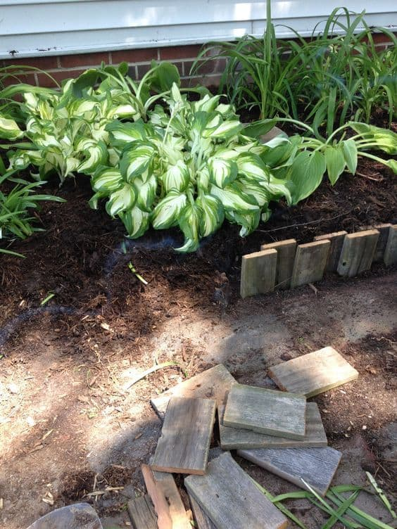 garden border edging