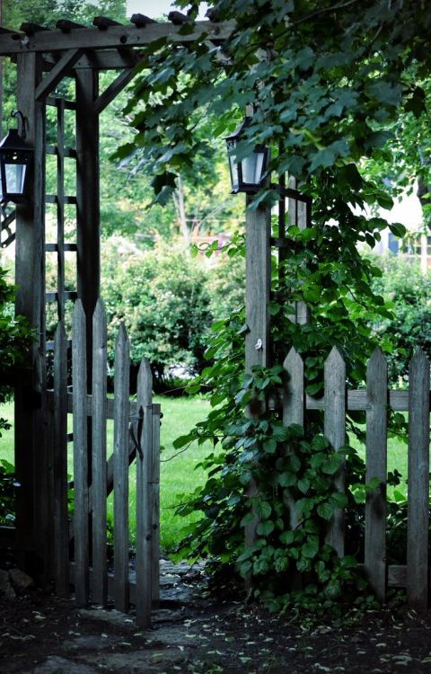 Enhance Your Garden with Beautiful Gates