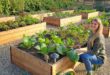 garden planter boxes