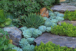 garden ideas with stones