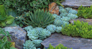 garden ideas with stones