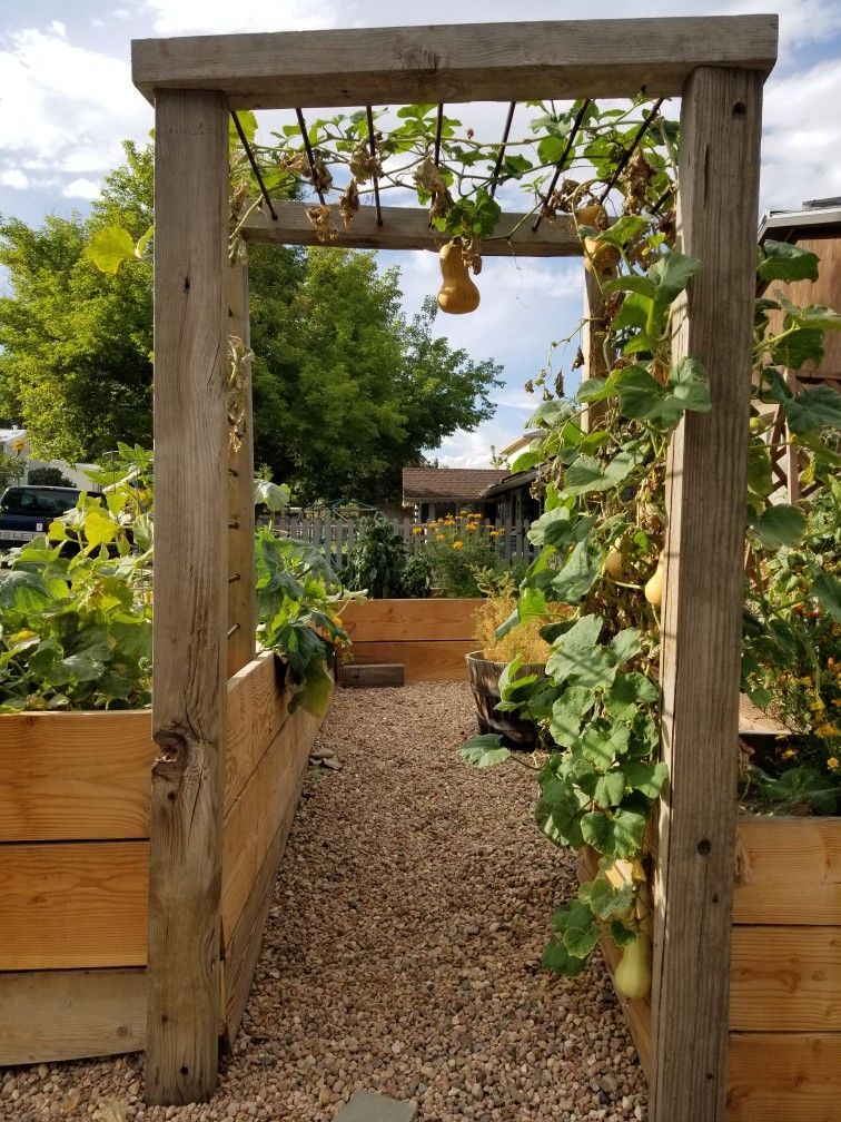 Enhance Your Garden with Elegant Metal Garden Arches