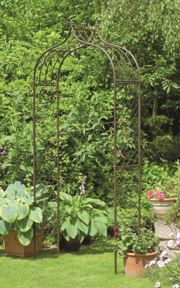 Enhance Your Garden with Stunning Metal Garden Arches