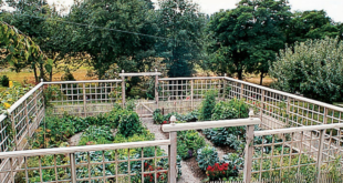 garden fencing