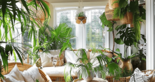 sun rooms