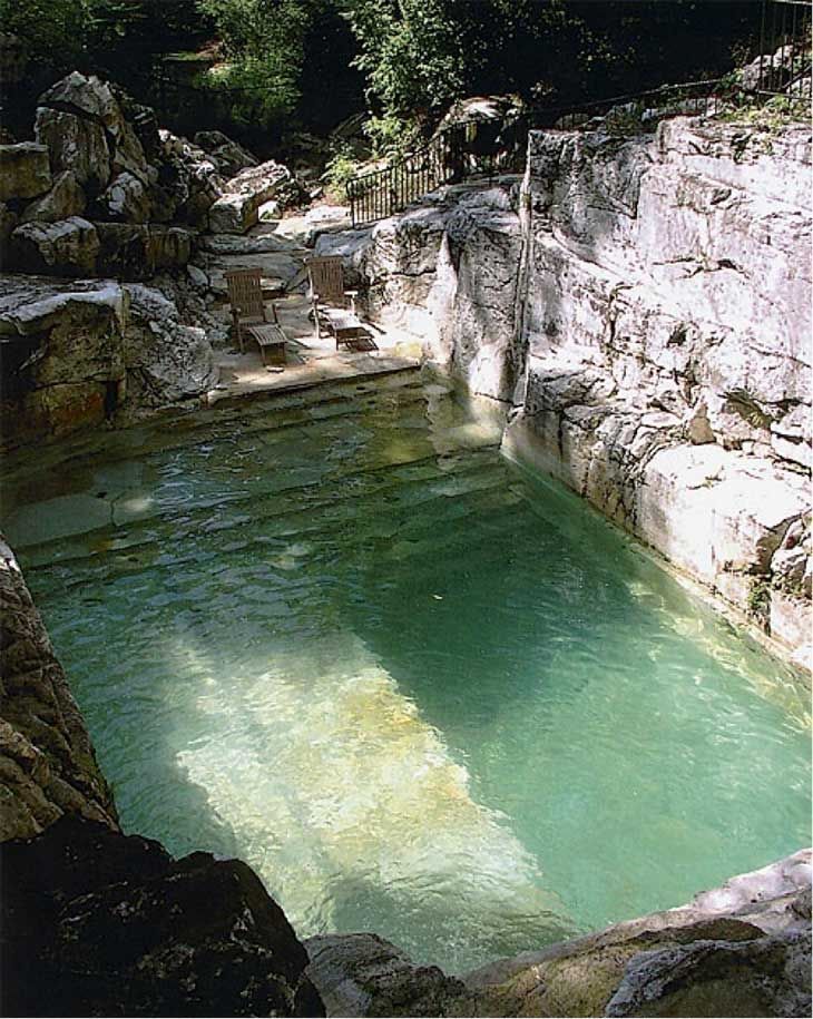 Enhance Your Outdoor Oasis with a Backyard Pool