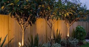 simple backyard landscaping along fence