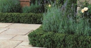 garden paving