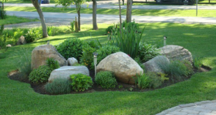 landscaping rocks