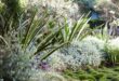 landscaping with ornamental grasses